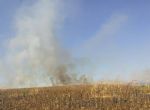 Incêndio destrói lavoura de milho próximo a Água Boa