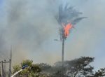 Incêndio em vegetação causa transtornos em Barra do Garças