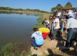 1ª Edição do Projeto Peixe na Boa solta 16 mil alevinos neste sábado em Água Boa (MT)