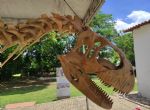 15 anos do Museu de História Natural de Mato Grosso