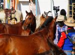 Cavalgada convida população para 54ª Expoagro em Cuiabá; vídeo