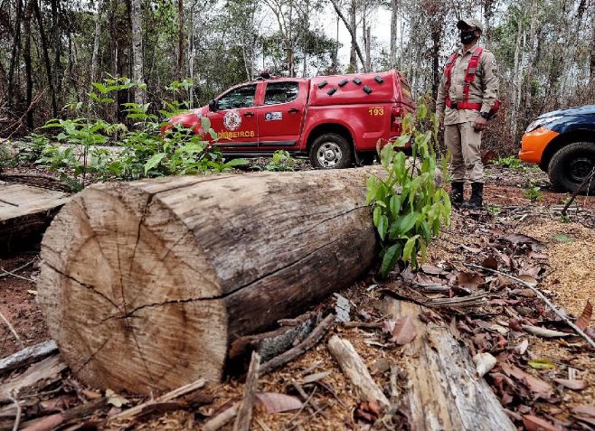 Corpo de Bombeiros deflagra operação Abafa Araguaia para combater o desmatamento em seis municípios