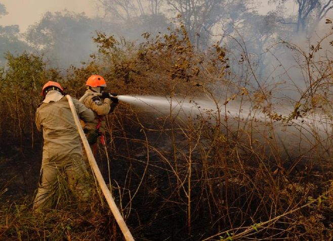 Período proibitivo do uso do fogo em Mato Grosso vai de 1º de julho a 30 de setembro