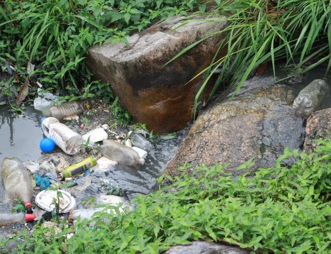 Rio - Eletrobras Furnas lança programa para recuperação de rios no Dia Mundial da Limpeza