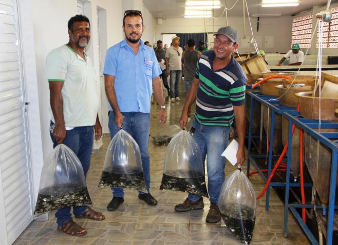 Em apenas um dia a Estação de piscicultura da Empaer comercializa 46 mil alevinos para produtores rurais