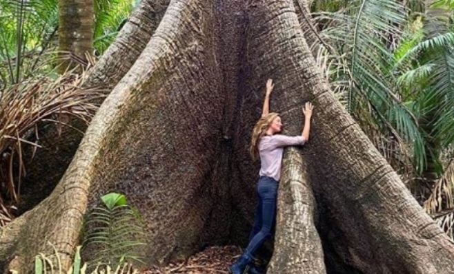Gisele Bündchen pede árvores de presente de aniversário de 40 anos