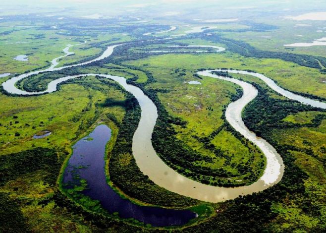 Deu na Folha - MT aprova lei que flexibiliza atividades agropecuárias no Pantanal