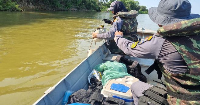 Em um mês, Sema-MT apreende 302 kg de pescado ilegal e devolve mais de 600 peixes aos rios