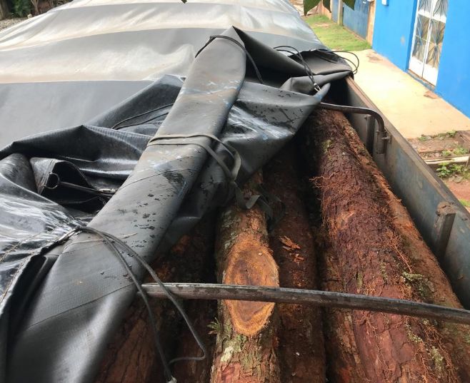 Polícia civil apreende cargas de madeira extraída ilegalmente no interior do estado