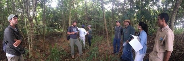 Reflorestamento na região do Xingu Araguaia serve de inspiração para outras regiões do Brasil