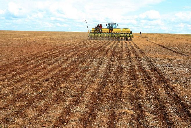 Plantio de soja em Mato Grosso deve iniciar em 16 de setembro