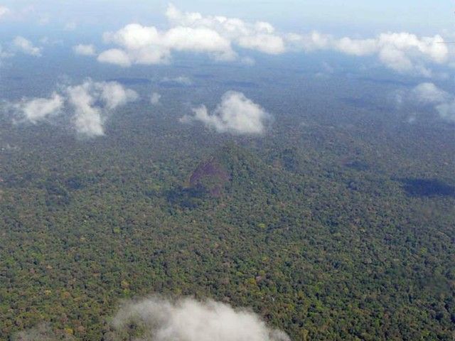 Avião desaparecido na Amazônia transportava família de indígenas; 2 passageiros são crianças