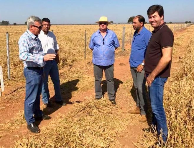Cerenge começa a construir mega armazém de grãos em Nova Xavantina