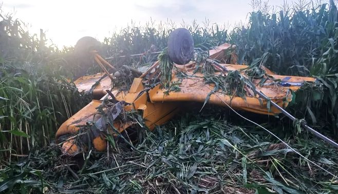 Avião agrícola bate em fio de alta tensão e cai em plantação em MT