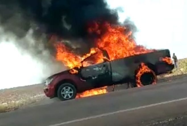 Sinop: caminhonete pega fogo quando transportava 150 codornas