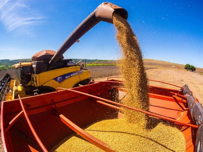 IBGE: ‘Mato Grosso tem a 3ª maior safra de soja do planeta’