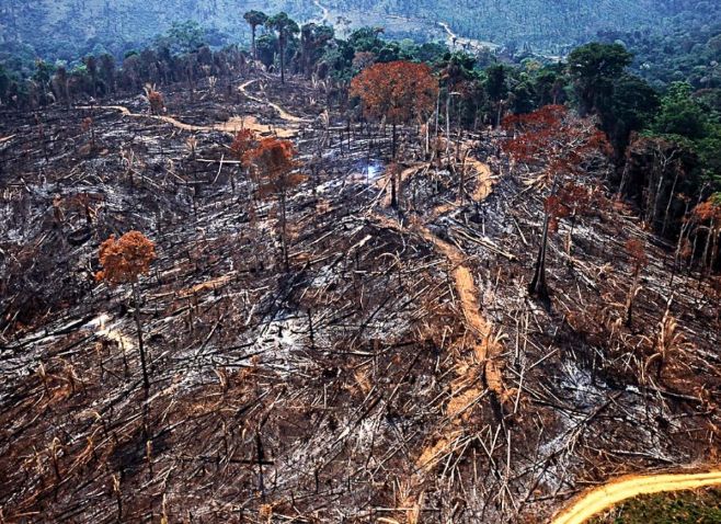 Desmate “à prestação” explode na Amazônia