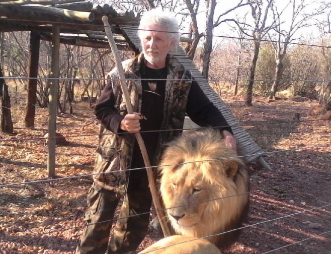 Sul-africano é atacado e morto por leões que criava em cativeiro
