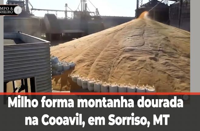 Por que há montanhas de milho ao relento no interior do Brasil