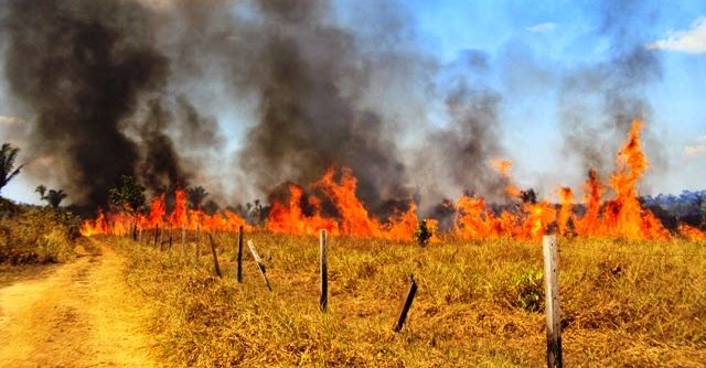 Governo prorroga período proibitivo para as queimadas
