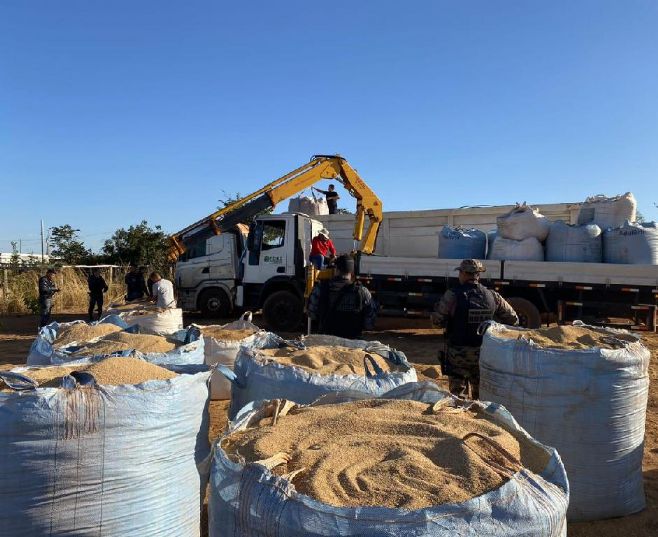 PM prende nove pessoas e recupera 41 toneladas de carga de soja receptadas em Rondonópolis