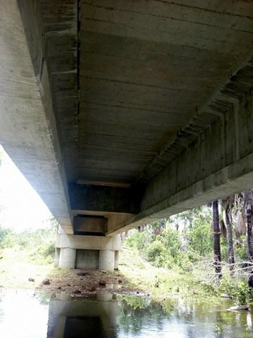 Nova Nazaré - Uma grande ponte para pouca água