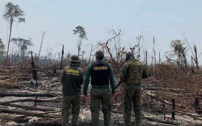 Mato Grosso reduz em 41,5% os alertas de desmatamento em agosto