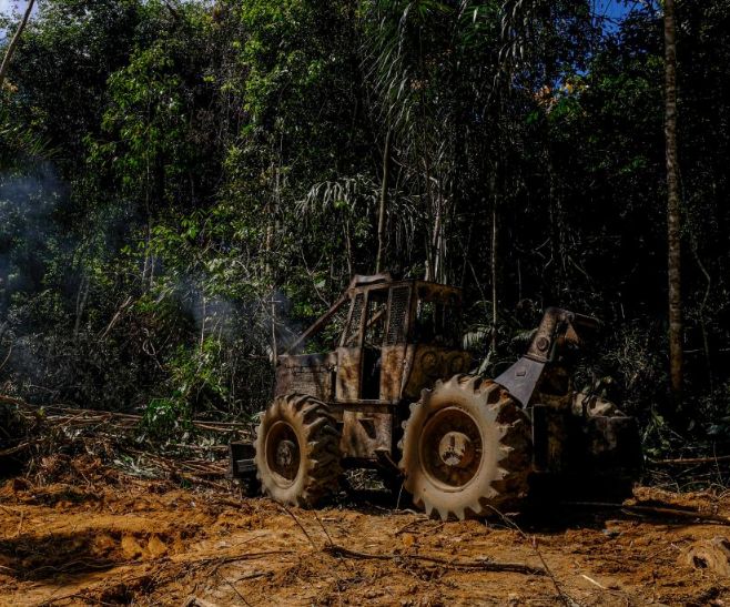 Governador lança mais uma etapa da Operação Amazônia contra crimes ambientais